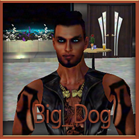 BigDog_Drache